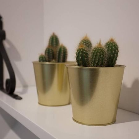 毕尔巴鄂Bonito Apartamento, Nuevo Y En El Casco Viejo!!!公寓 外观 照片